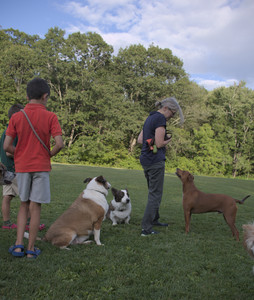 20250827_Dog Park__DSC0656_.jpg