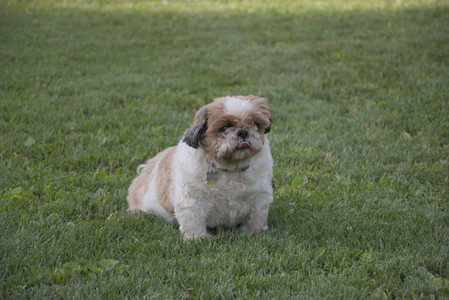 20250827_Dog Park__DSC0657_.jpg