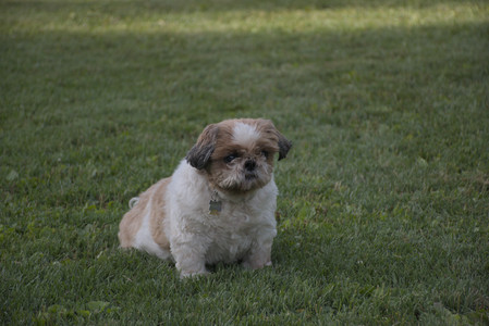 20250827_Dog Park__DSC0659_.jpg