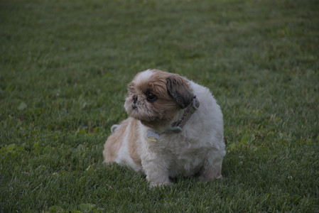 20250827_Dog Park__DSC0660_.jpg