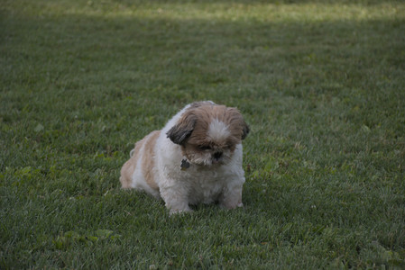 20250827_Dog Park__DSC0662_.jpg