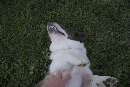 20250827_Dog Park__DSC0675_.jpg