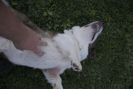 20250827_Dog Park__DSC0676_.jpg