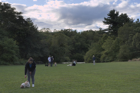 20250827_Dog Park__DSC0687_.jpg