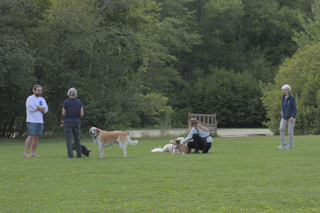 20250827_Dog Park__DSC0689_.jpg