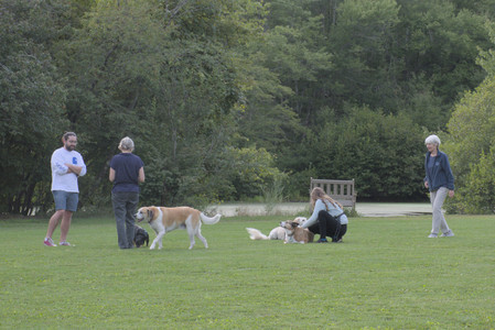 20250827_Dog Park__DSC0690_.jpg