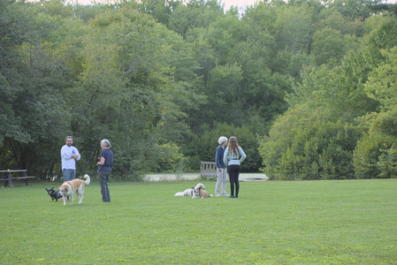 20250827_Dog Park__DSC0692_.jpg