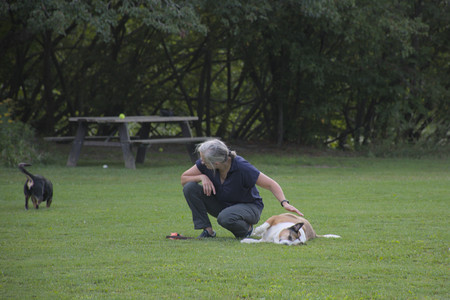 20250827_Dog Park__DSC0697_.jpg