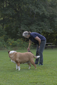 20250827_Dog Park__DSC0701_.jpg