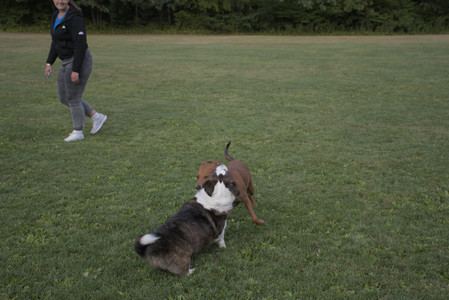 20250827_Dog Park__DSC0709_.jpg