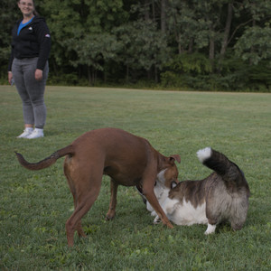 20250827_Dog Park__DSC0711_.jpg