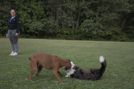 20250827_Dog Park__DSC0712_.jpg