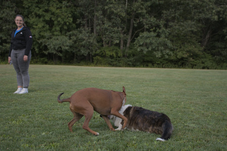 20250827_Dog Park__DSC0713_.jpg