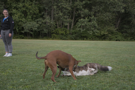 20250827_Dog Park__DSC0714_.jpg
