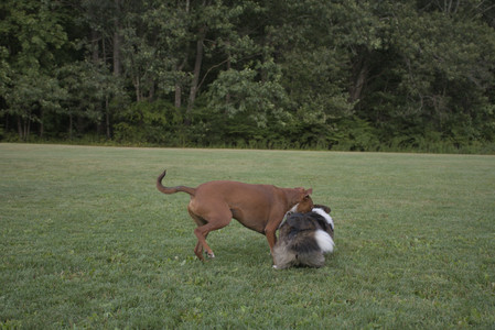 20250827_Dog Park__DSC0716_.jpg