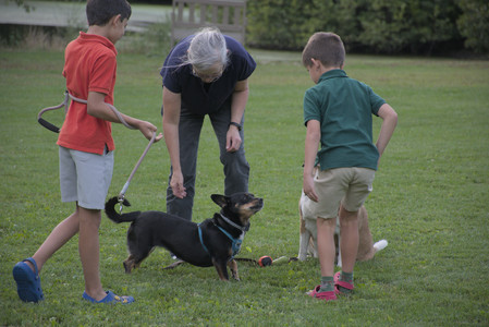 20250827_Dog Park__DSC0746_.jpg