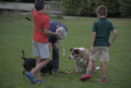 20250827_Dog Park__DSC0747_.jpg