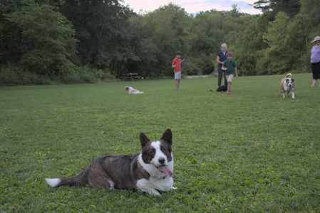 20250827_Dog Park__DSC0749_.jpg