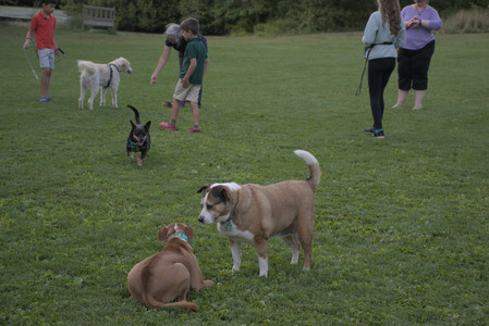 20250827_Dog Park__DSC0751_.jpg