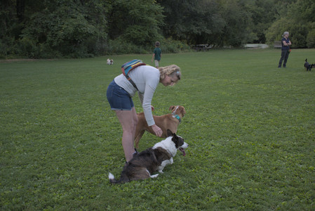 20250827_Dog Park__DSC0752_.jpg