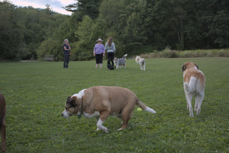 20250827_Dog Park__DSC0757_.jpg