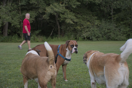 20250827_Dog Park__DSC0759_.jpg
