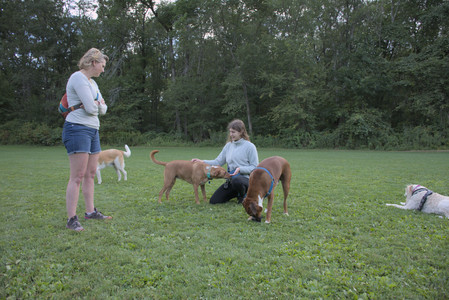 20250827_Dog Park__DSC0770_.jpg