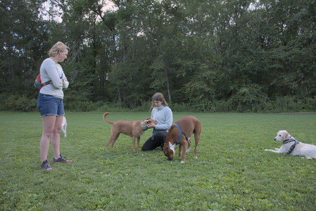 20250827_Dog Park__DSC0771_.jpg