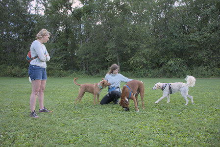 20250827_Dog Park__DSC0772_.jpg