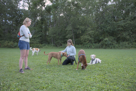 20250827_Dog Park__DSC0773_.jpg