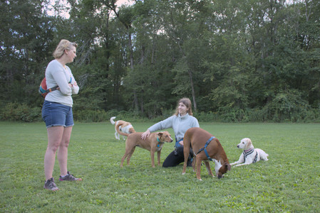 20250827_Dog Park__DSC0774_.jpg