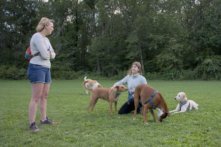 20250827_Dog Park__DSC0775_.jpg