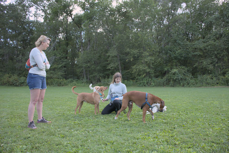20250827_Dog Park__DSC0776_.jpg