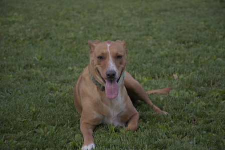 20250827_Dog Park__DSC0798_.jpg