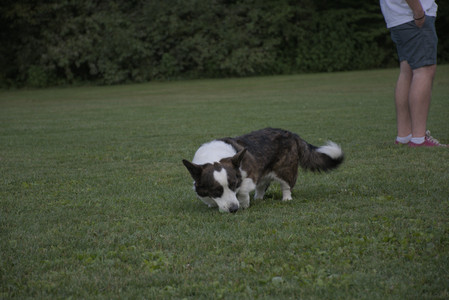 20250827_Dog Park__DSC0805_.jpg