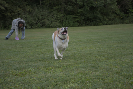 20250827_Dog Park__DSC0812_.jpg