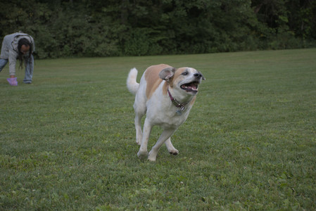 20250827_Dog Park__DSC0813_.jpg