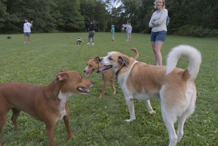 20250827_Dog Park__DSC0816_.jpg
