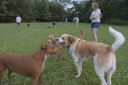 20250827_Dog Park__DSC0817_.jpg