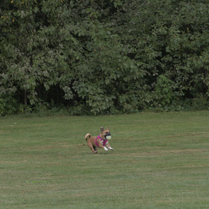 20250827_Dog Park__DSC0824_.jpg