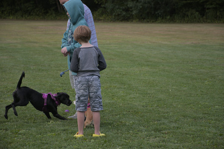 20250827_Dog Park__DSC0830_.jpg