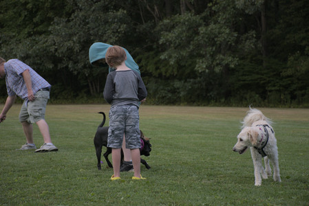 20250827_Dog Park__DSC0831_.jpg