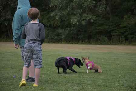20250827_Dog Park__DSC0832_.jpg