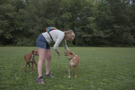 20250827_Dog Park__DSC0835_.jpg