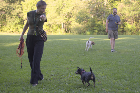 20250903_Home and dog park__DSC0067_.jpg