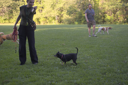 20250903_Home and dog park__DSC0068_.jpg