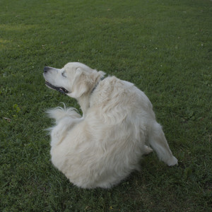 20250903_Home and dog park__DSC0072_.jpg