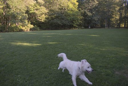 20250903_Home and dog park__DSC0076_.jpg