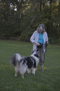 20250903_Home and dog park__DSC0090_.jpg