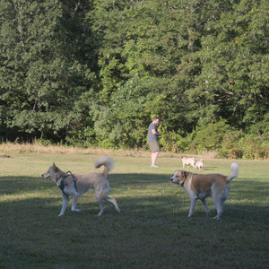 20250903_Home and dog park__DSC0099_.jpg